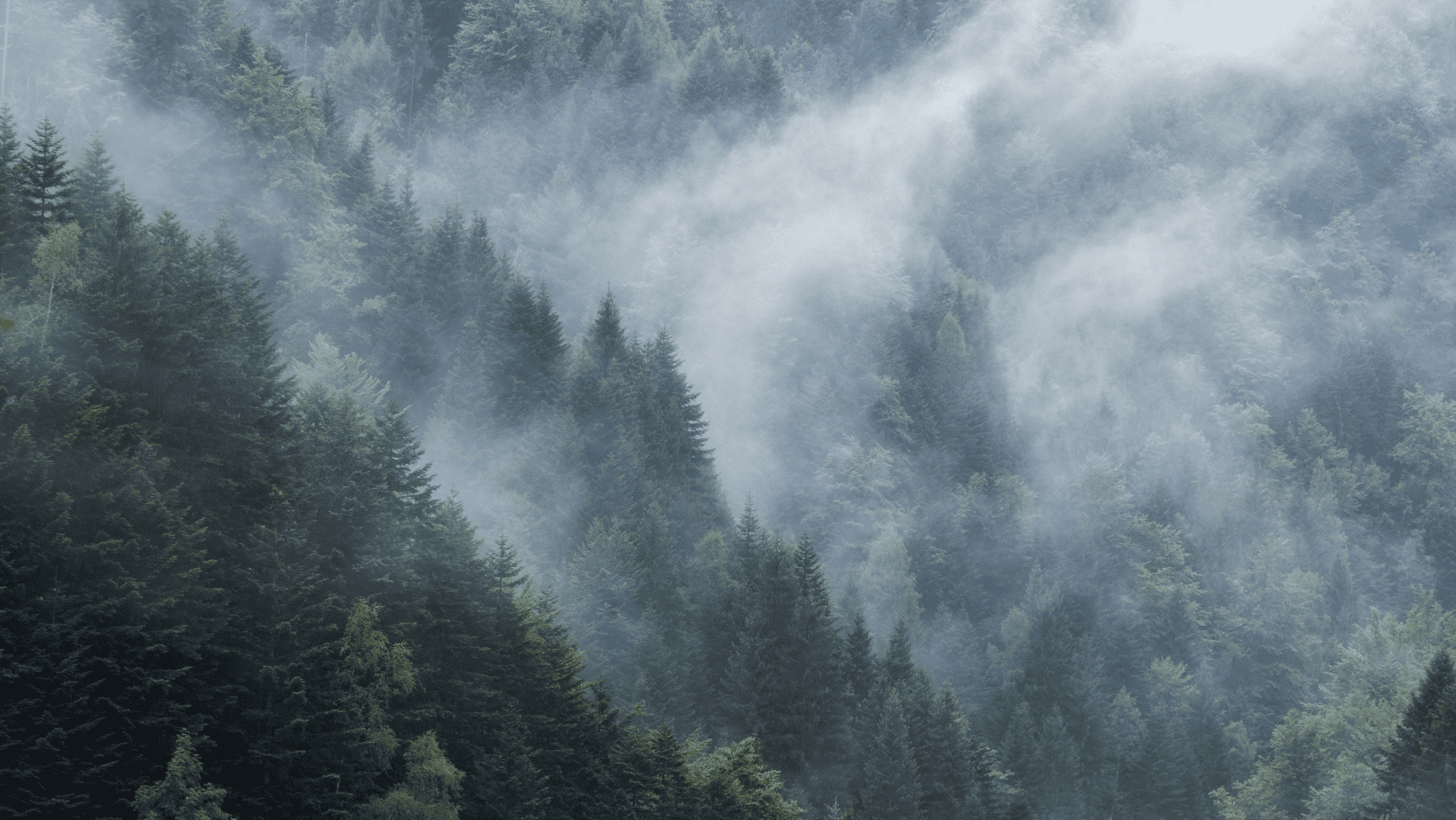 Atem im Moment Pranayama vayus im Moment