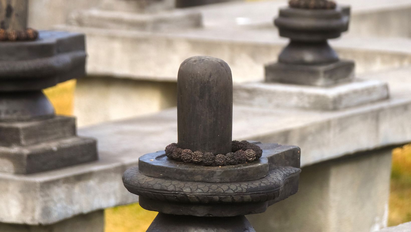 RUDRAKSHA RUDRAKSHA