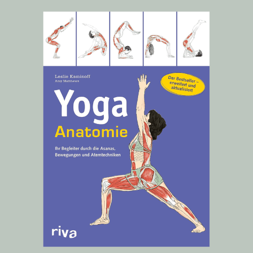 Yoga-Anatomie